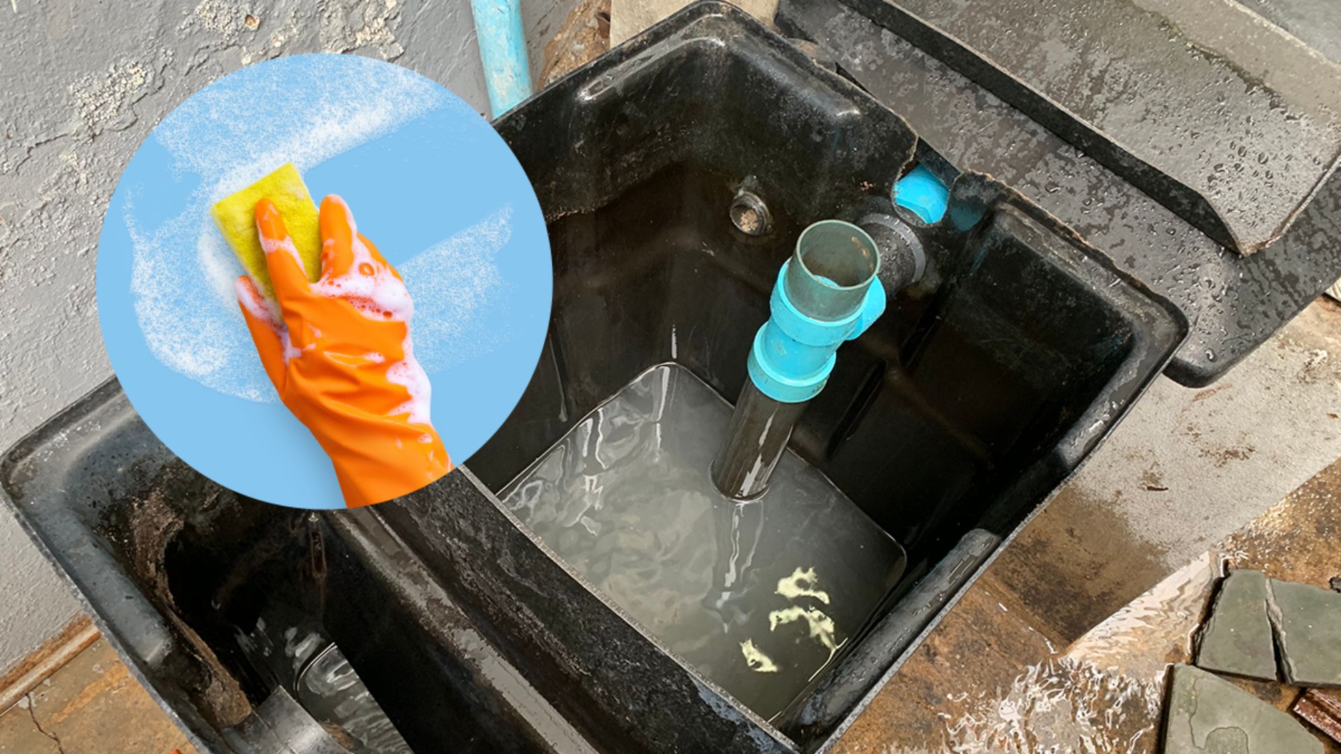Grease Trap Maintenance